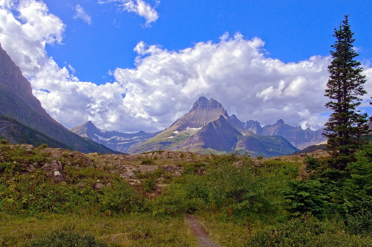 The Ultimate Guide to Scenic Drives in Utah’s National Parks